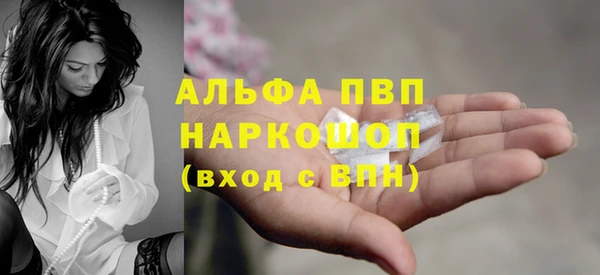 ешки Корсаков