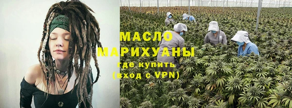 индика Коряжма