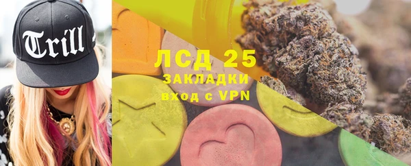 индика Коряжма