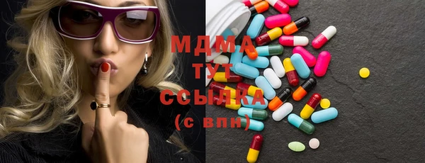 индика Коряжма