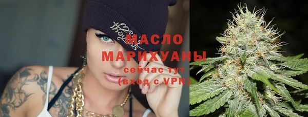 индика Коряжма