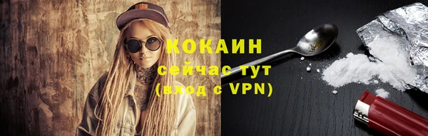 индика Коряжма