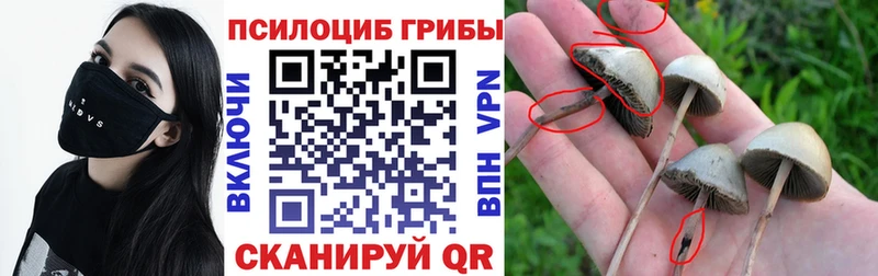 Галлюциногенные грибы GOLDEN TEACHER  мега   Кушва 